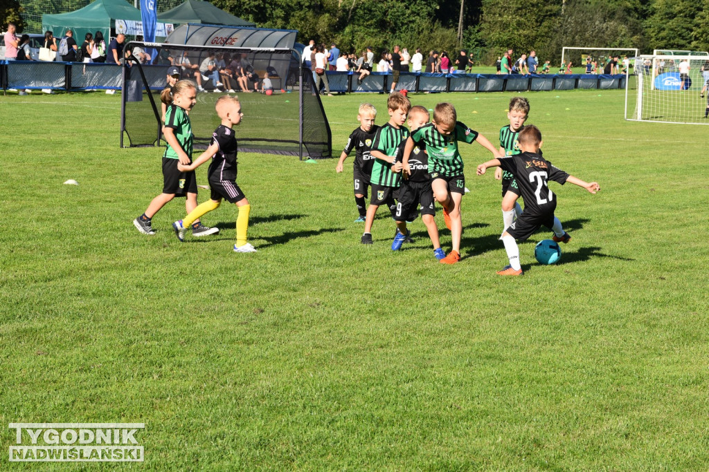 Turniej Enea Cup 2025