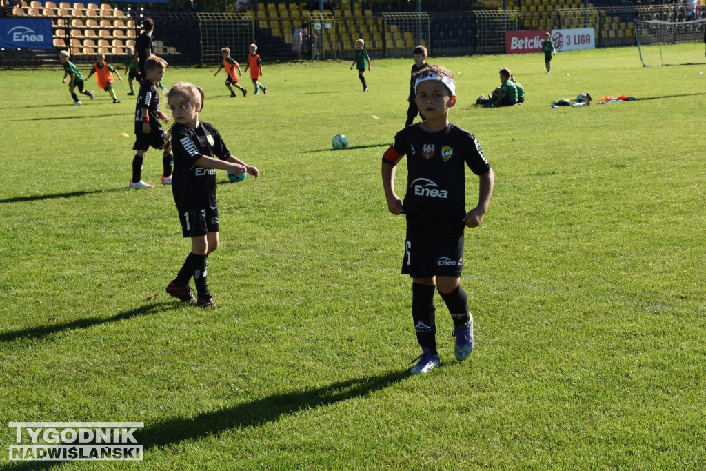 Turniej Enea Cup 2025