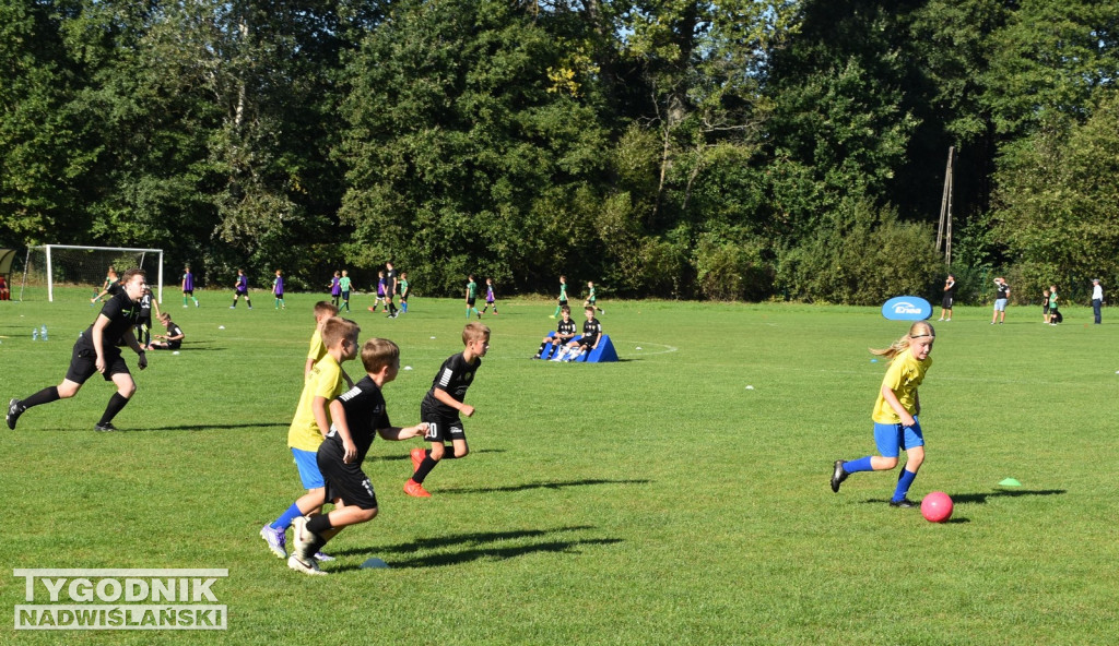 Turniej Enea Cup 2025