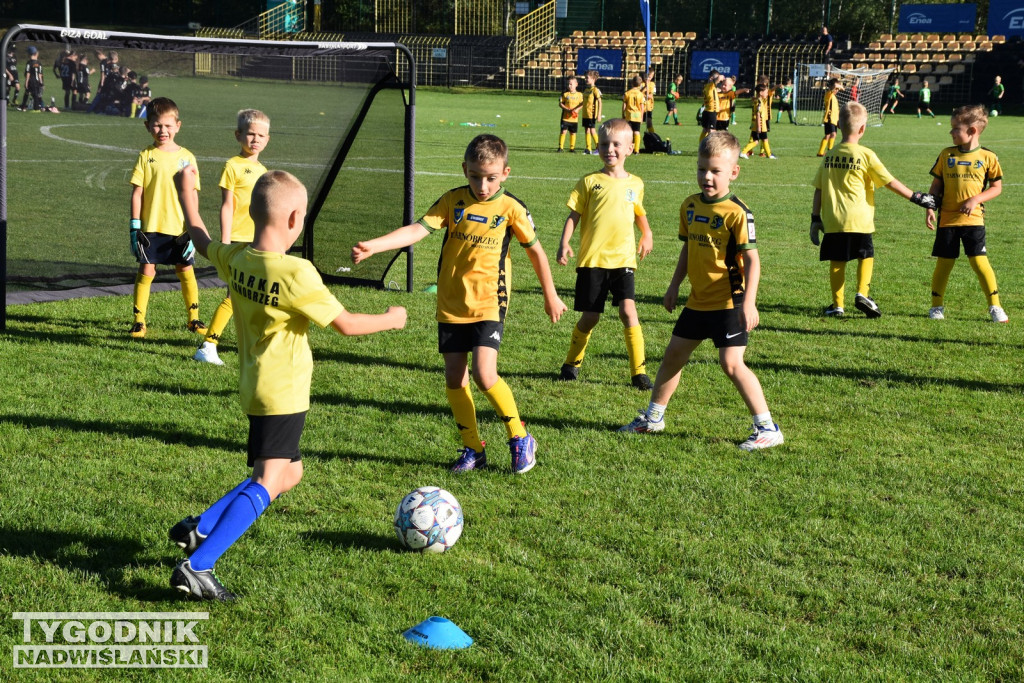 Turniej Enea Cup 2025
