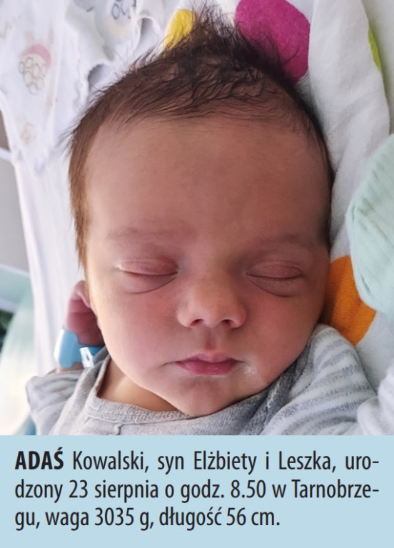 Zobacz dzieci urodzonych w naszych szpitalach