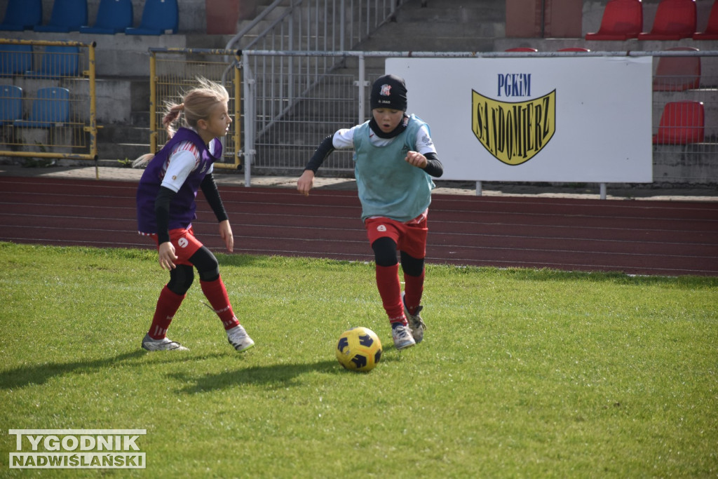 100-lecie Wisły Sandomierz