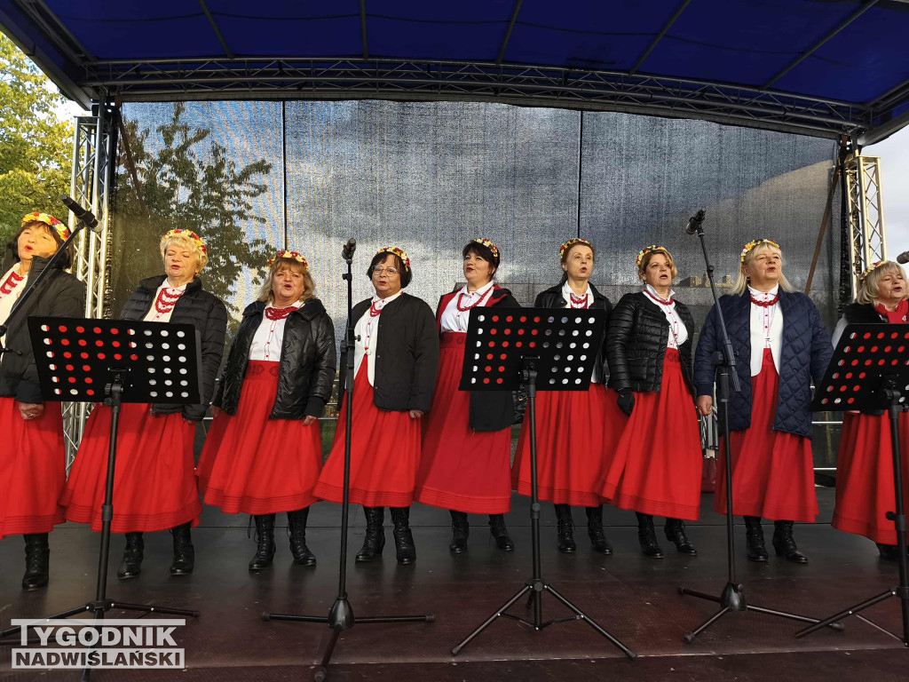 Piknik Rodzinny na Serbinowie