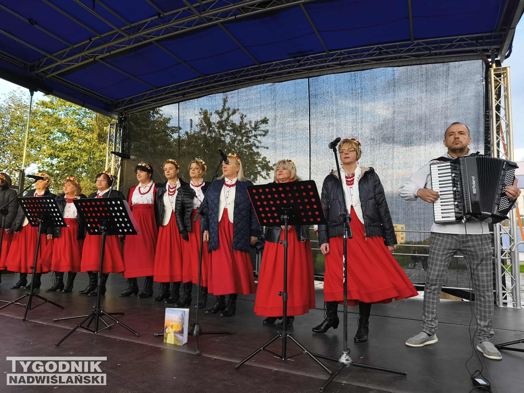Piknik Rodzinny na Serbinowie