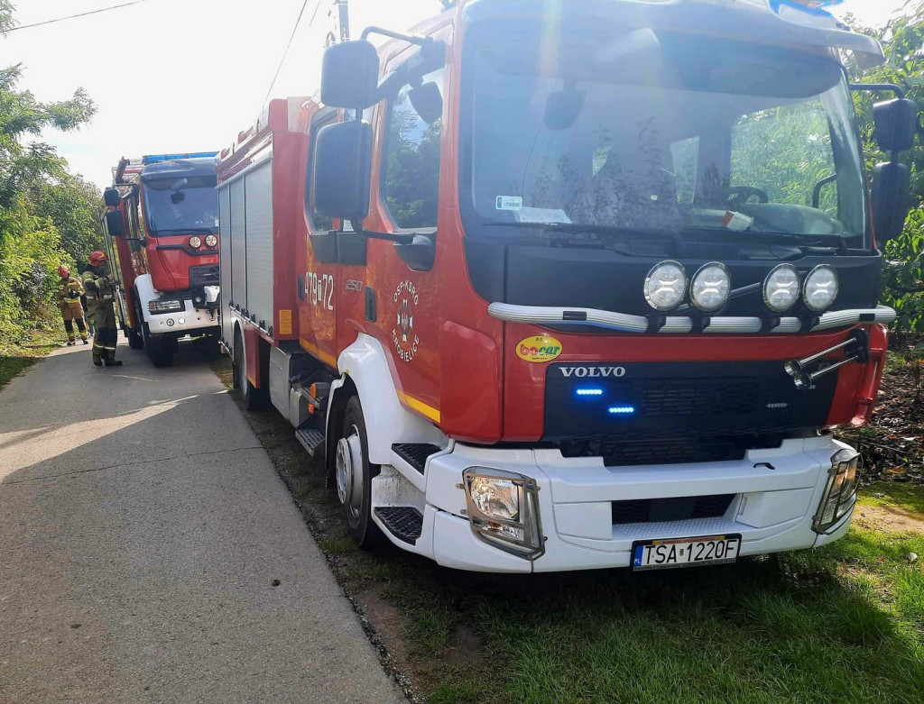 Strażacy wydobyli psa ze zbiornika na szambo