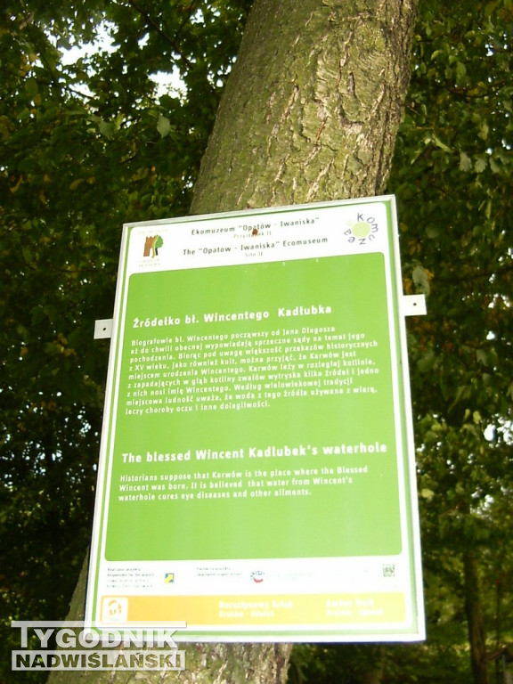 Miejsce narodzin bł. Wincentego Kadłubka