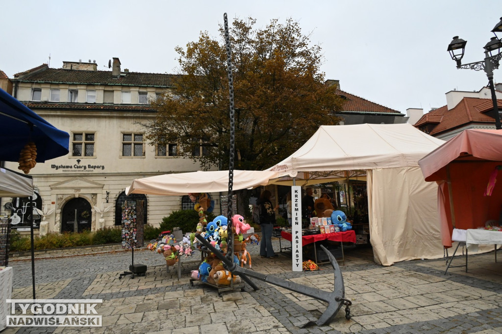 Odpust bł. Wincentego Kadłubka