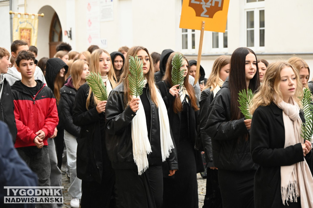Odpust bł. Wincentego Kadłubka