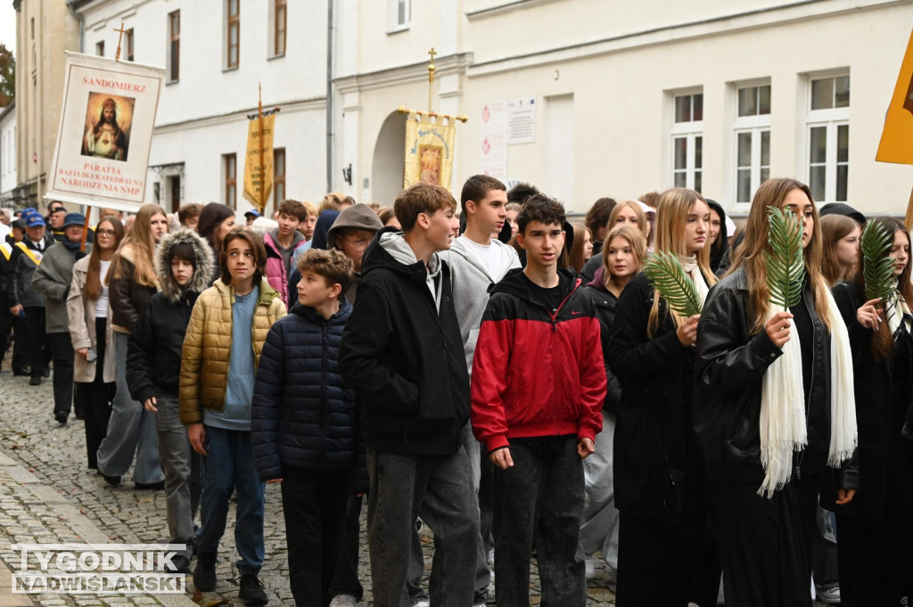 Odpust bł. Wincentego Kadłubka