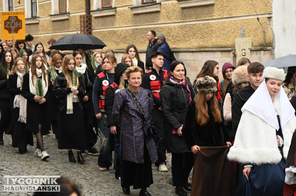 Odpust bł. Wincentego Kadłubka