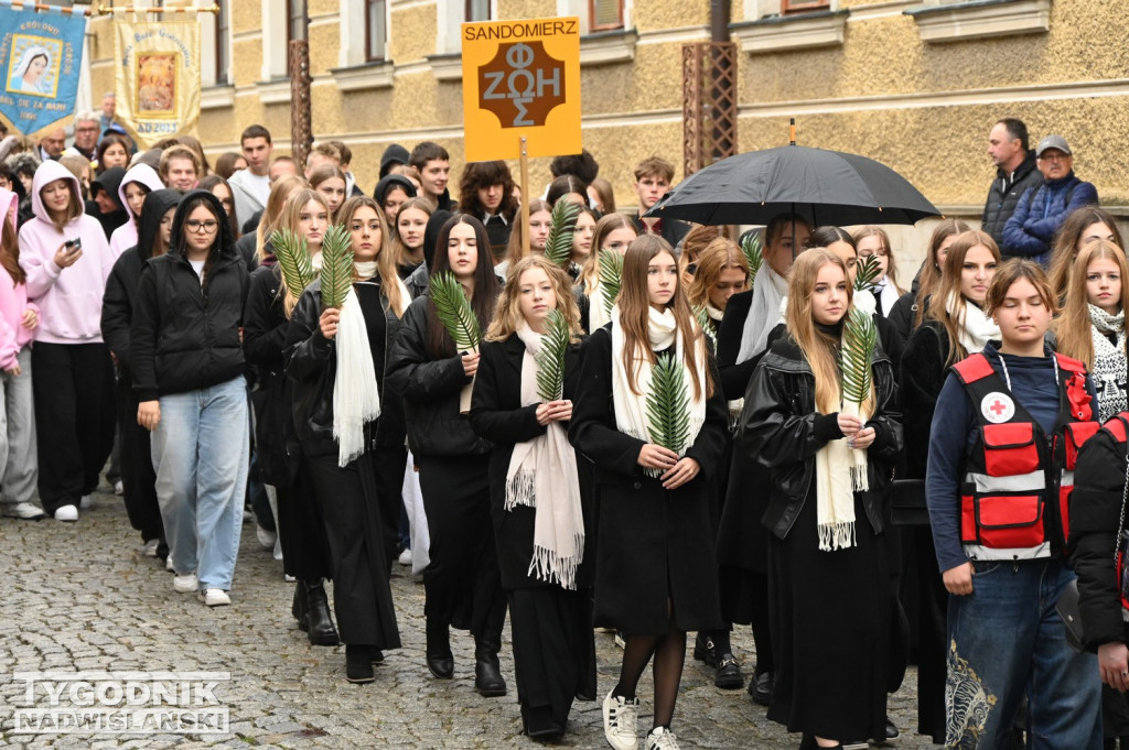 Odpust bł. Wincentego Kadłubka