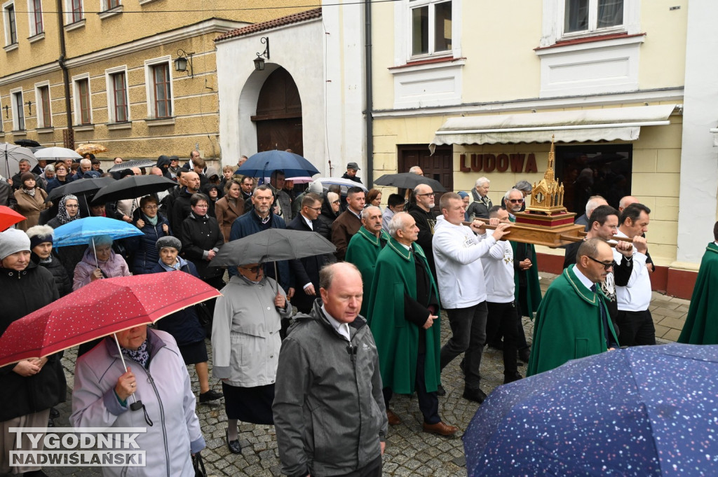 Odpust bł. Wincentego Kadłubka