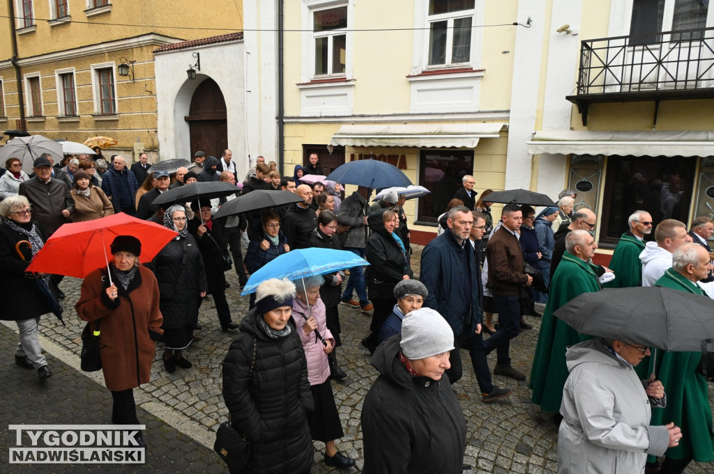 Odpust bł. Wincentego Kadłubka