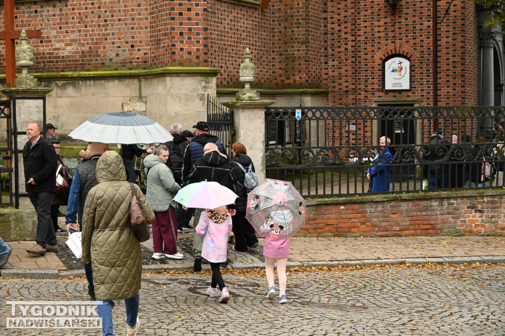 Odpust bł. Wincentego Kadłubka