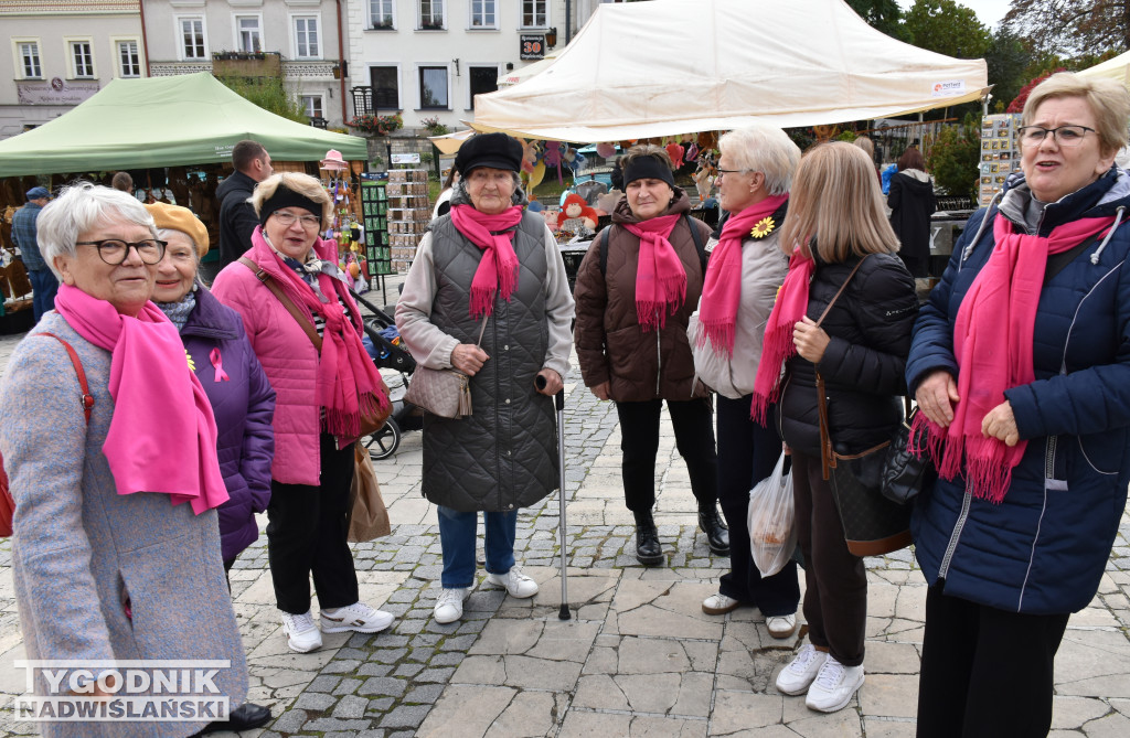XII Marsz Pierwsi w Sandomierzu