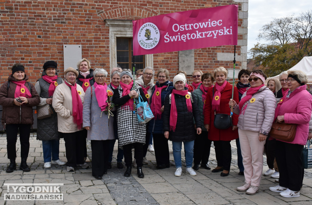 XII Marsz Pierwsi w Sandomierzu