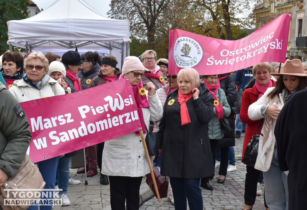 XII Marsz Pierwsi w Sandomierzu