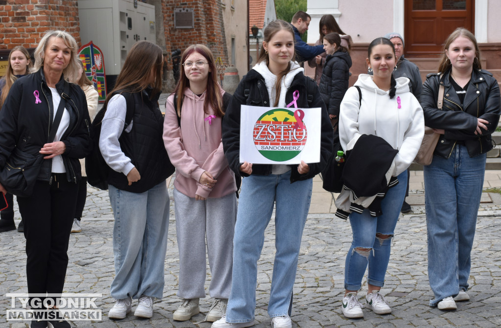 XII Marsz Pierwsi w Sandomierzu