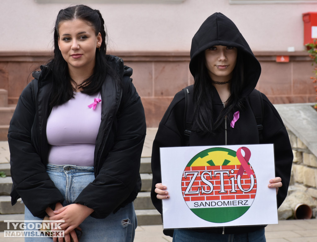 XII Marsz Pierwsi w Sandomierzu