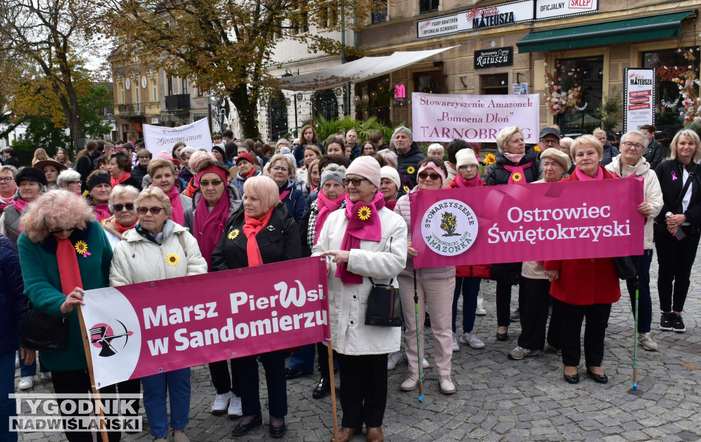 XII Marsz Pierwsi w Sandomierzu