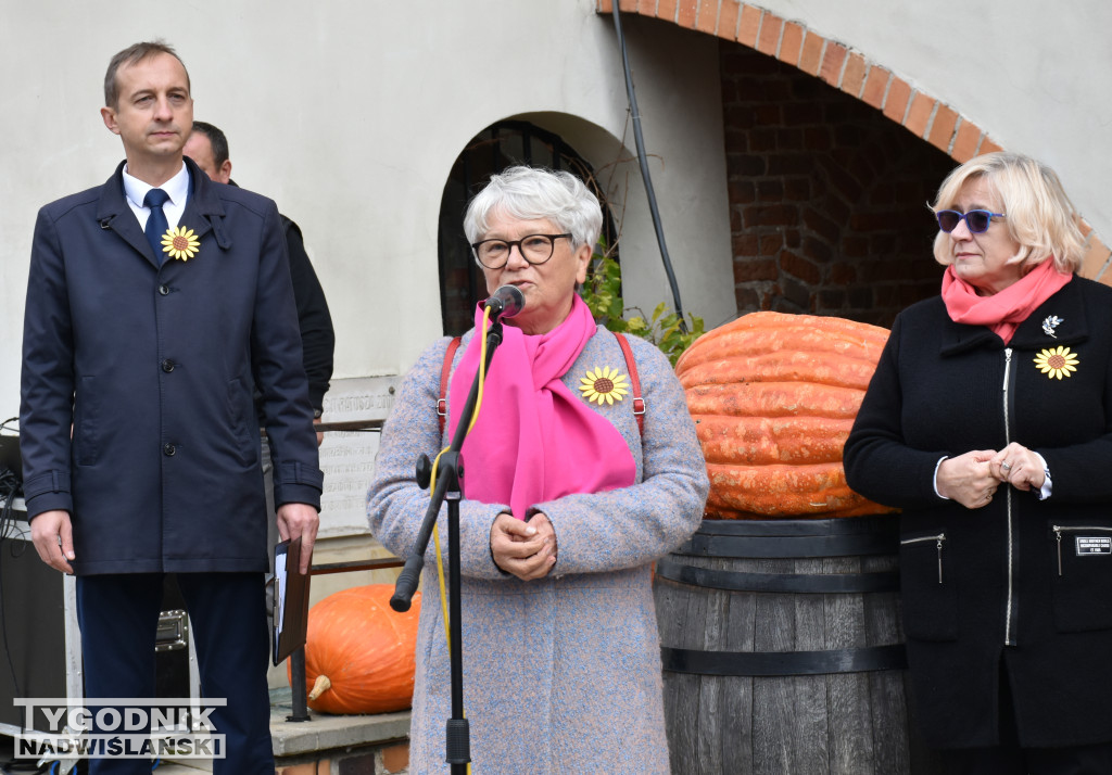 XII Marsz Pierwsi w Sandomierzu