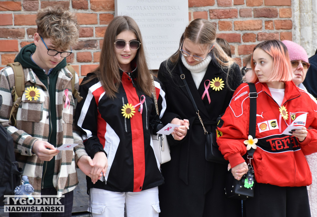 XII Marsz Pierwsi w Sandomierzu