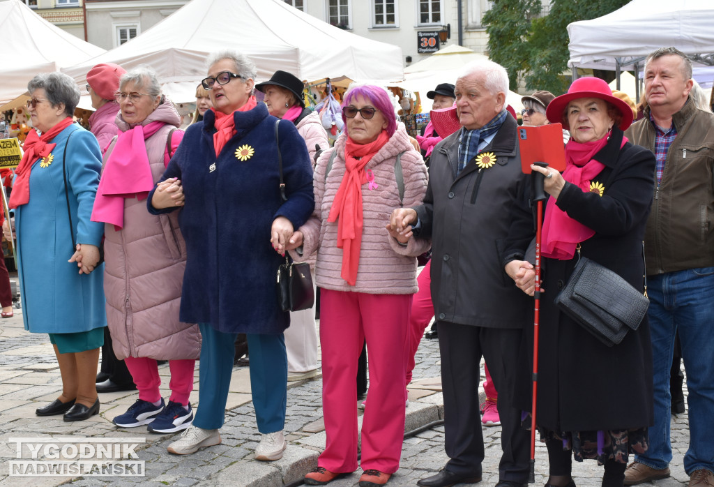 XII Marsz Pierwsi w Sandomierzu