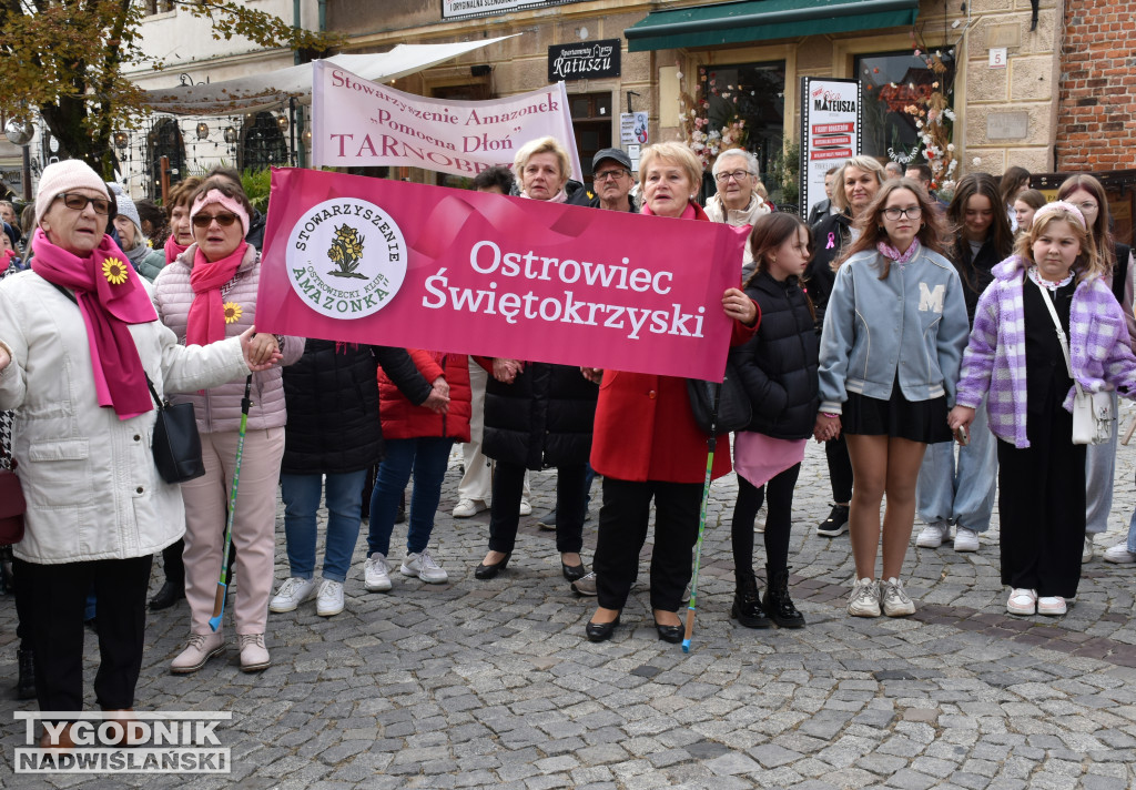 XII Marsz Pierwsi w Sandomierzu