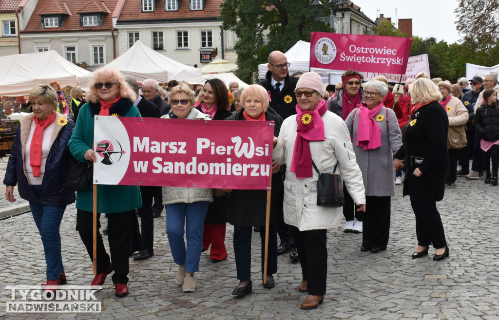 XII Marsz Pierwsi w Sandomierzu