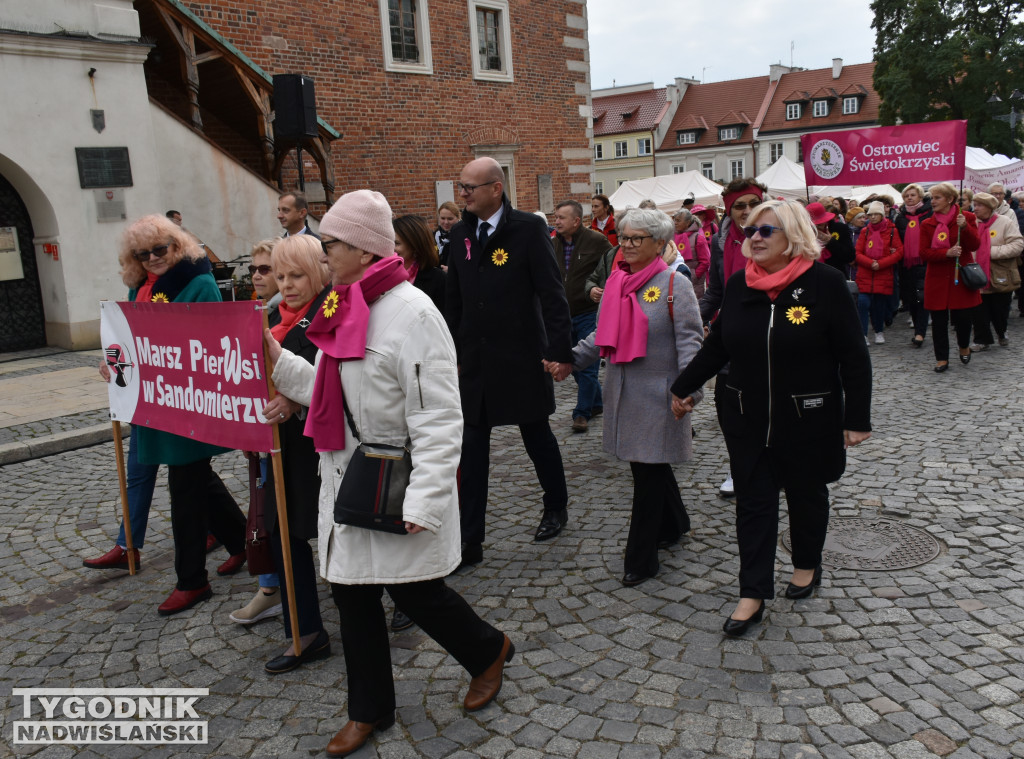 XII Marsz Pierwsi w Sandomierzu