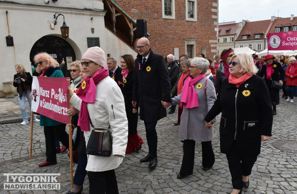 XII Marsz Pierwsi w Sandomierzu