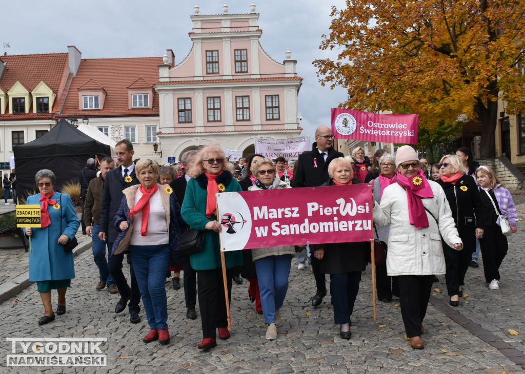 XII Marsz Pierwsi w Sandomierzu