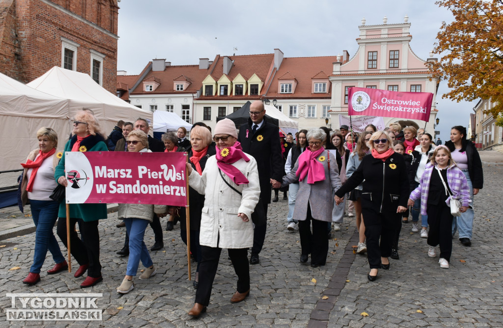 XII Marsz Pierwsi w Sandomierzu