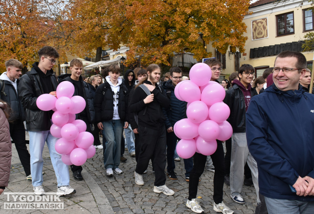 XII Marsz Pierwsi w Sandomierzu