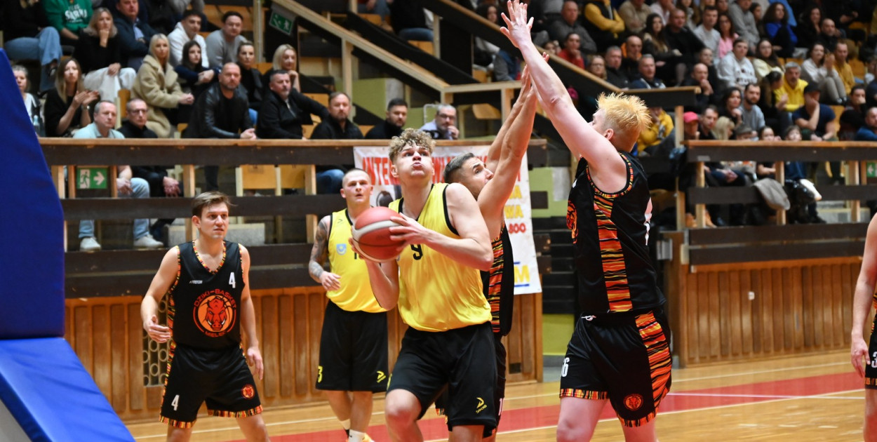 MKKS Siarka Tarnobrzeg - Dziki Basket Mielec