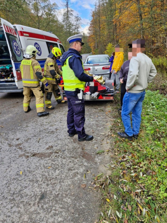 Wypadek nad zalewem w Bogorii