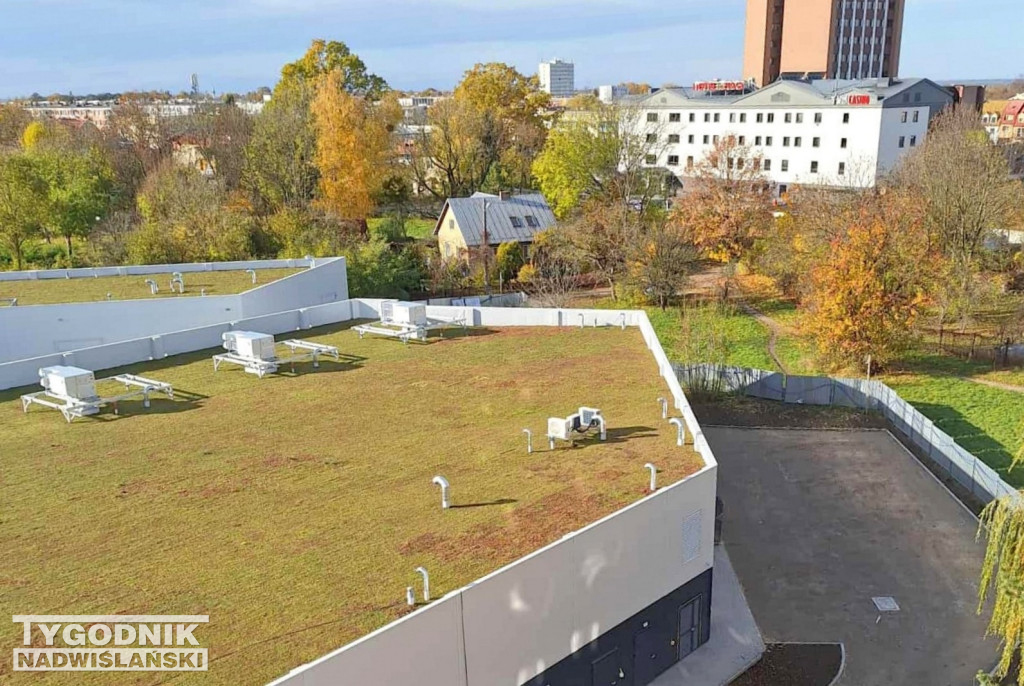 Zielony dach na Pasażu Dominikańskim w Tarnobrzegu