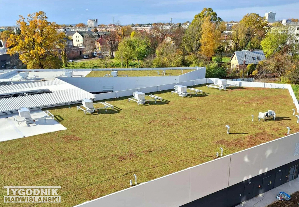 Zielony dach na Pasażu Dominikańskim w Tarnobrzegu