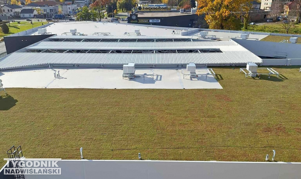 Zielony dach na Pasażu Dominikańskim w Tarnobrzegu