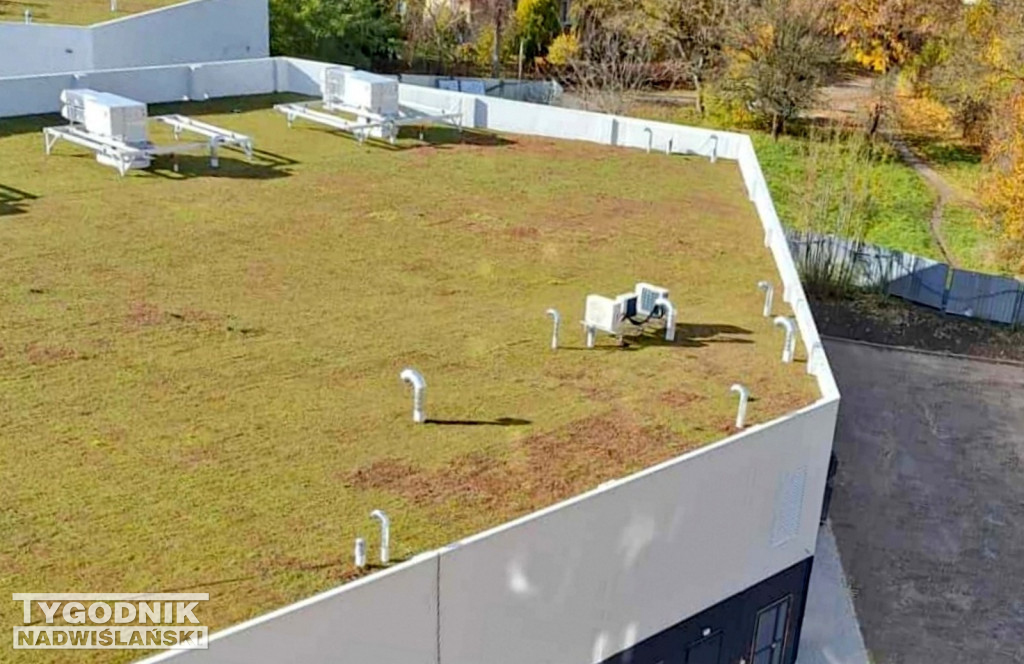 Zielony dach na Pasażu Dominikańskim w Tarnobrzegu