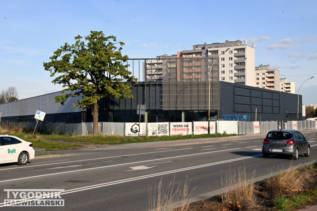 Zielony dach na Pasażu Dominikańskim w Tarnobrzegu