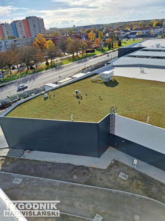 Zielony dach na Pasażu Dominikańskim w Tarnobrzegu