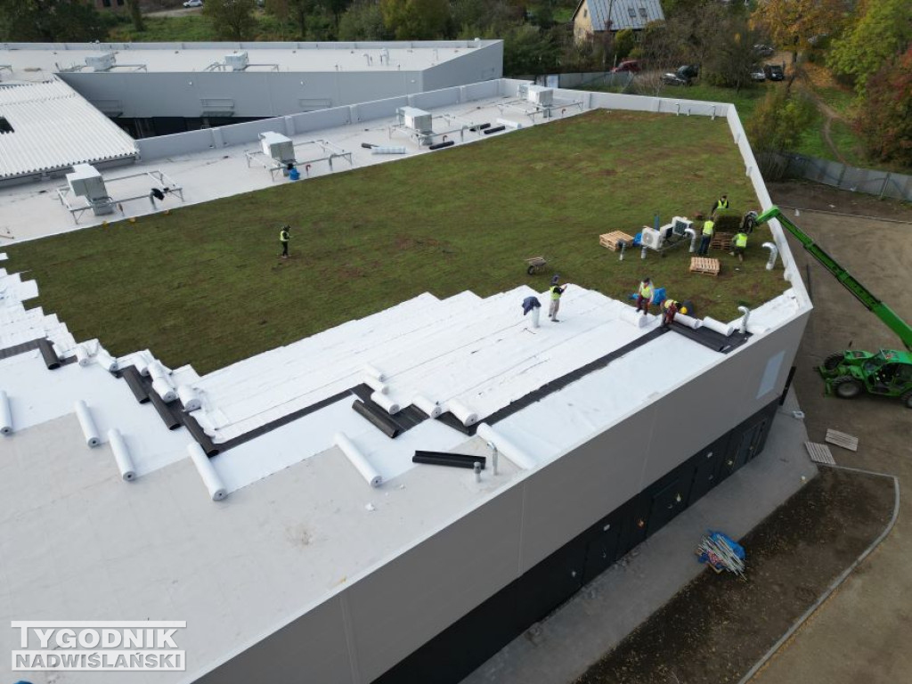 Zielony dach na Pasażu Dominikańskim w Tarnobrzegu