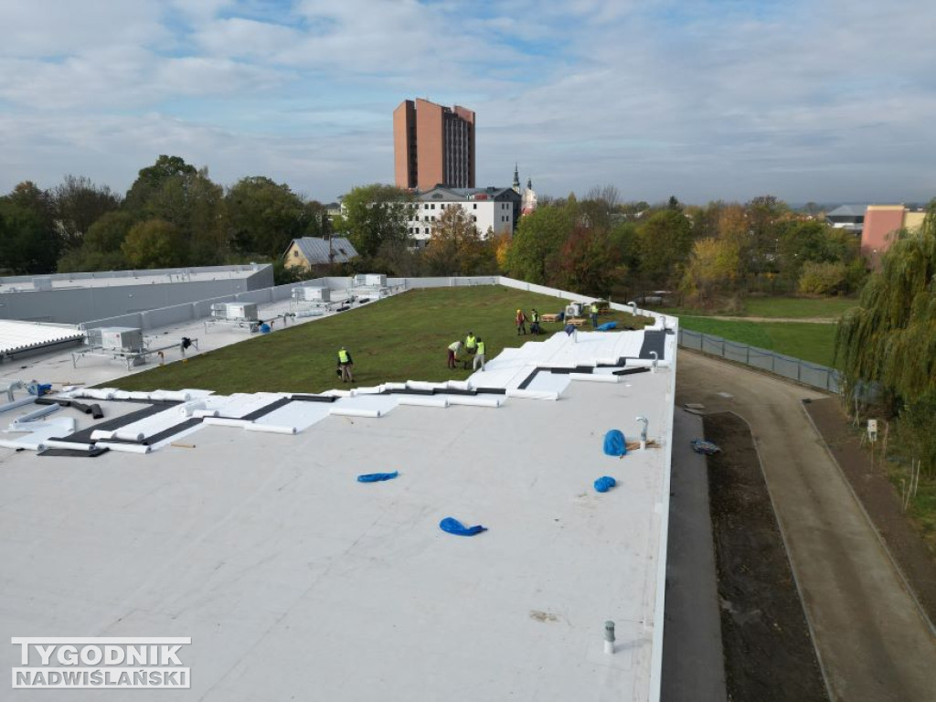 Zielony dach na Pasażu Dominikańskim w Tarnobrzegu