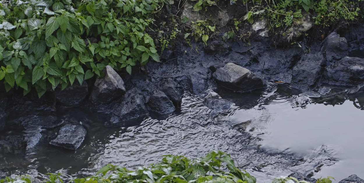 Zanieczyszczenie Sanu w Nisku