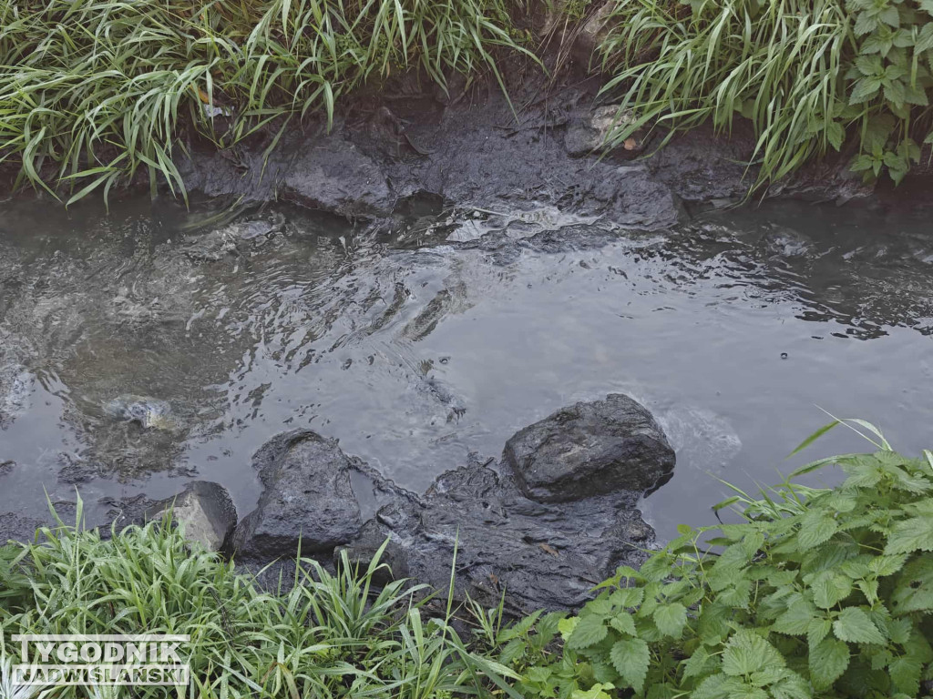 Zanieczyszczenie Sanu w Nisku