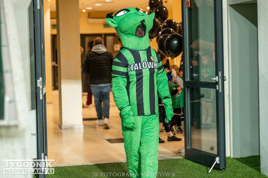 Stal Stalowa Wola - Resovia