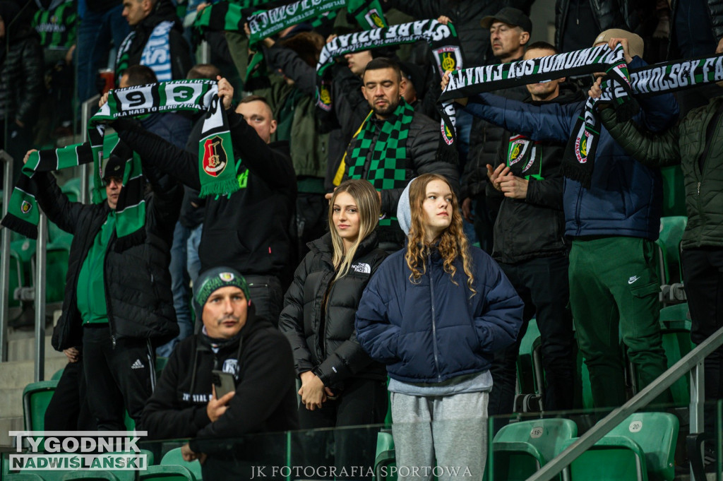 Stal Stalowa Wola - Resovia