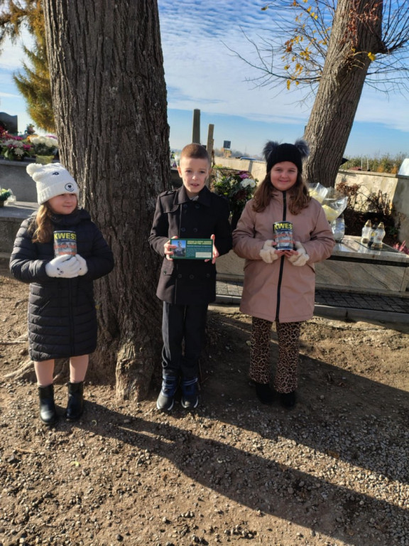 Kwesta w Goźlicach 2025