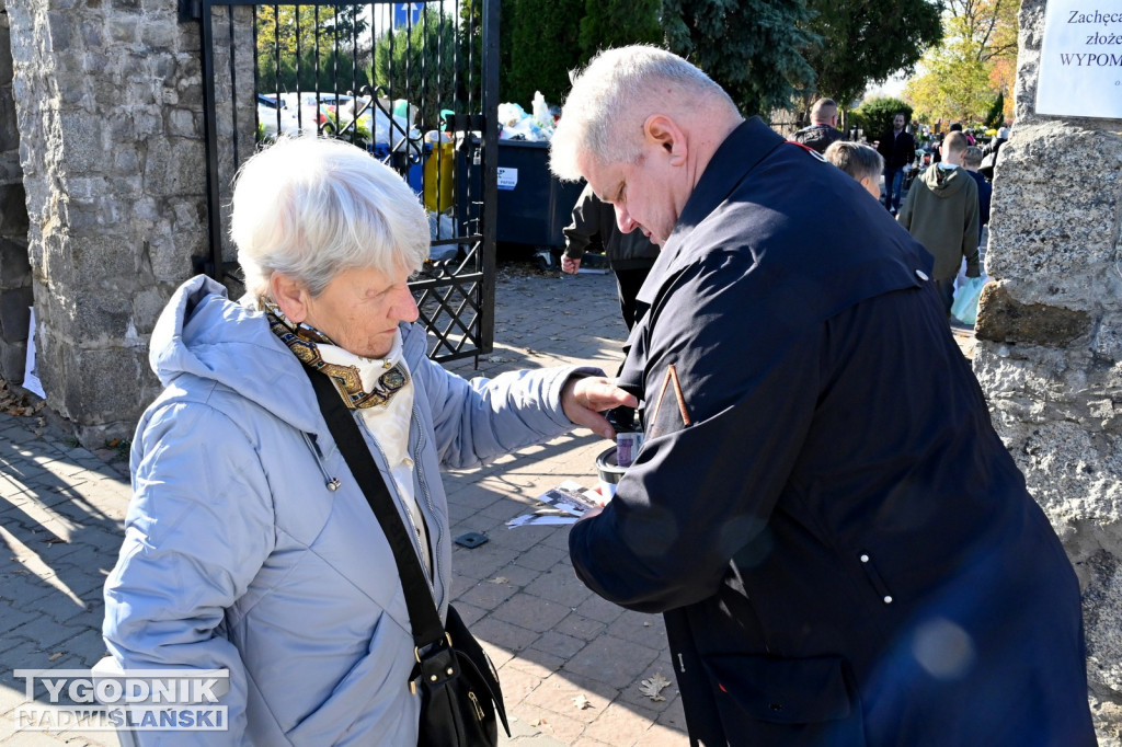 Kwesta w Tarnobrzegu